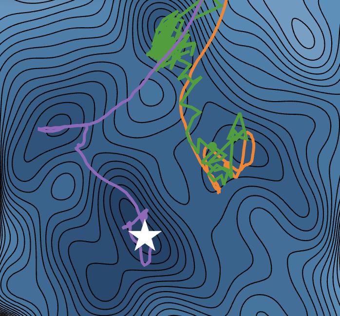 ND Optimizer Arena preview